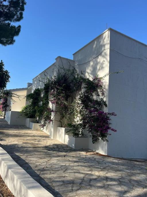 Villa Bouganville 2 Ostuni Zewnętrze zdjęcie