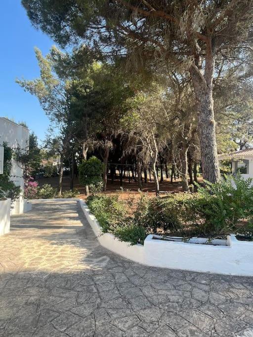 Villa Bouganville 2 Ostuni Zewnętrze zdjęcie